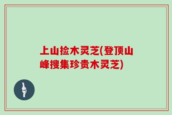 上山捡木灵芝(登顶山峰搜集珍贵木灵芝)
