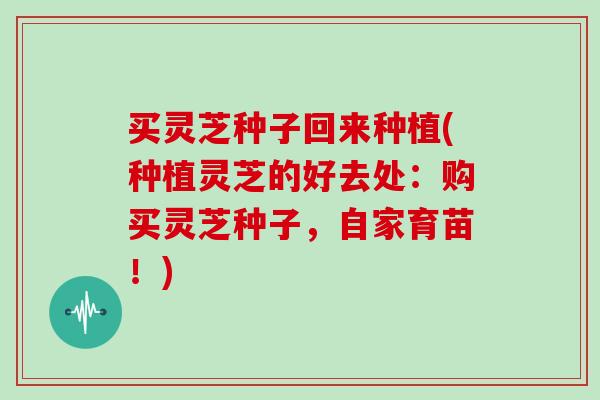 买灵芝种子回来种植(种植灵芝的好去处：购买灵芝种子，自家育苗！)