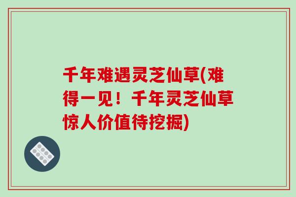 千年难遇灵芝仙草(难得一见!千年灵芝仙草惊人价值待挖掘)