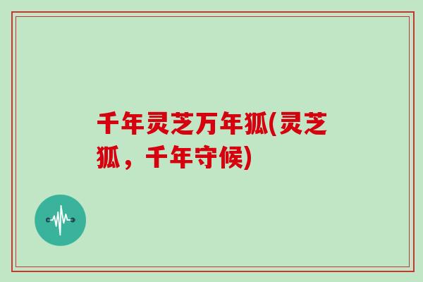千年灵芝万年狐(灵芝狐,千年守候)