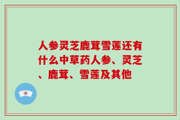 人参灵芝鹿茸雪莲还有什么中草药人参、灵芝、鹿茸、雪莲及其他