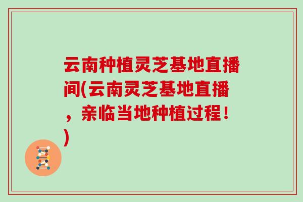 云南种植灵芝基地直播间(云南灵芝基地直播,亲临当地种植过程!)