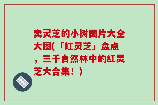卖灵芝的小树图片大全大图(「红灵芝」盘点,三千自然林中的红灵芝大合集!)