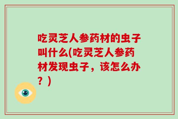 吃灵芝人参药材的虫子叫什么(吃灵芝人参药材发现虫子,该怎么办?)