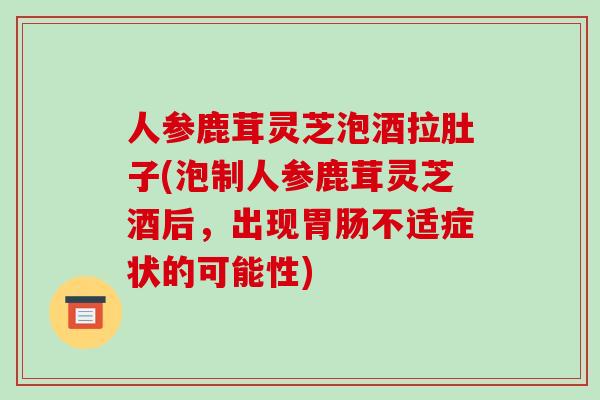 人参鹿茸灵芝泡酒拉肚子(泡制人参鹿茸灵芝酒后,出现胃肠不适症状的可能性)