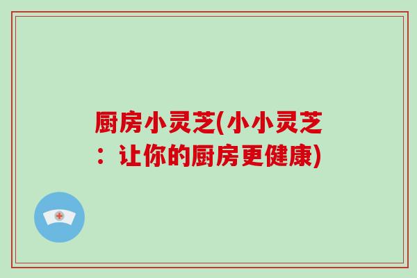 厨房小灵芝(小小灵芝:让你的厨房更健康)