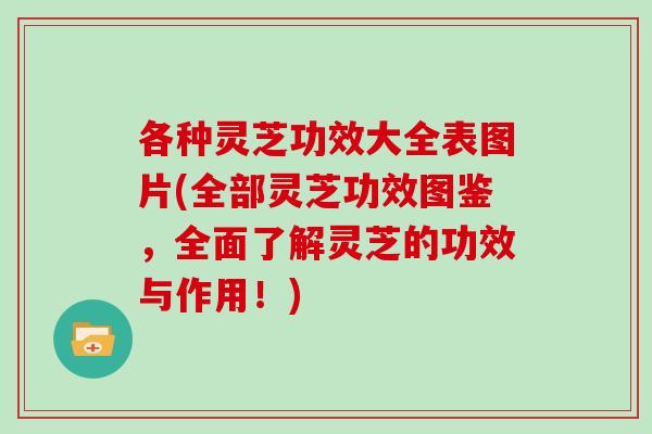 各种灵芝功效大全表图片(全部灵芝功效图鉴,全面了解灵芝的功效与作用!)
