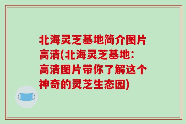 北海灵芝基地简介图片高清(北海灵芝基地:高清图片带你了解这个神奇的灵芝生态园)