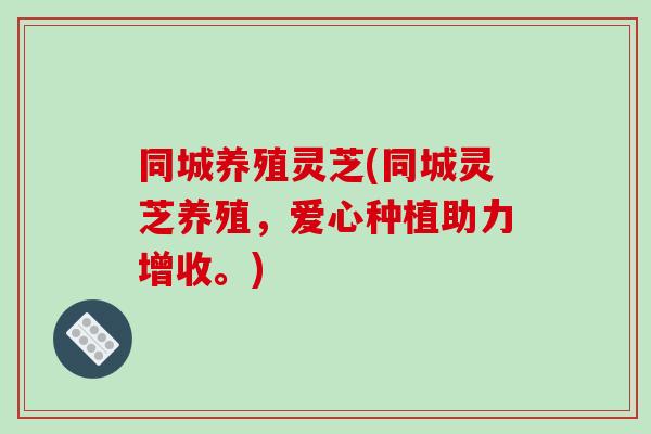 同城养殖灵芝(同城灵芝养殖,爱心种植助力增收。)