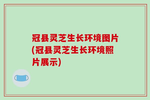 冠县灵芝生长环境图片(冠县灵芝生长环境照片展示)