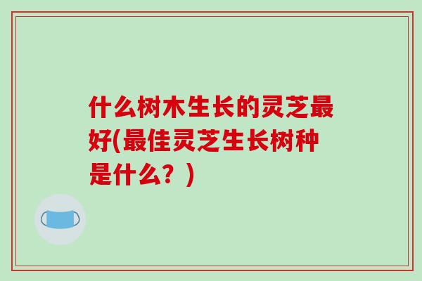 什么树木生长的灵芝最好(最佳灵芝生长树种是什么?)