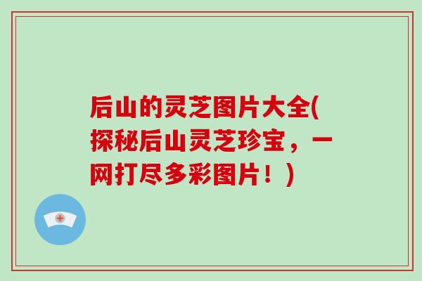 后山的灵芝图片大全(探秘后山灵芝珍宝,一网打尽多彩图片!)