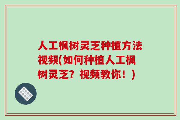 人工枫树灵芝种植方法视频(如何种植人工枫树灵芝?视频教你!)