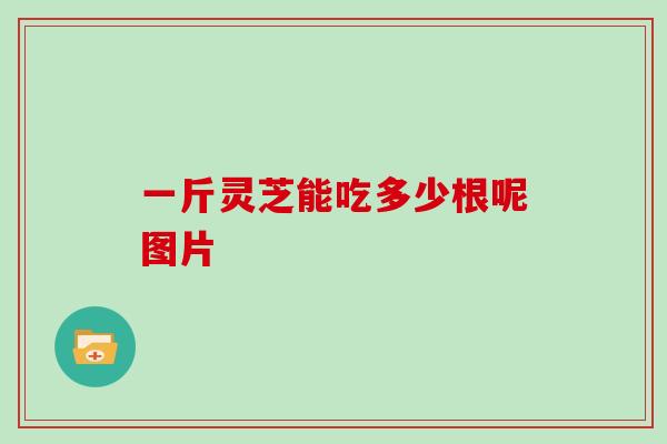 一斤灵芝能吃多少根呢图片