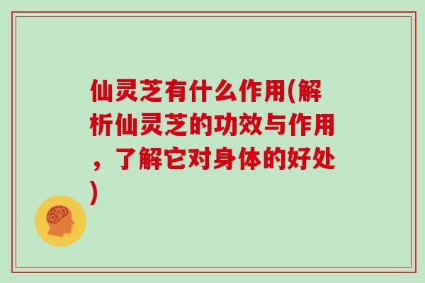 仙灵芝有什么作用(解析仙灵芝的功效与作用,了解它对身体的好处)