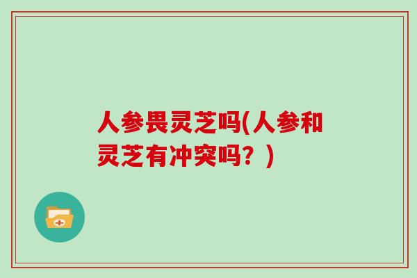 人参畏灵芝吗(人参和灵芝有冲突吗？)