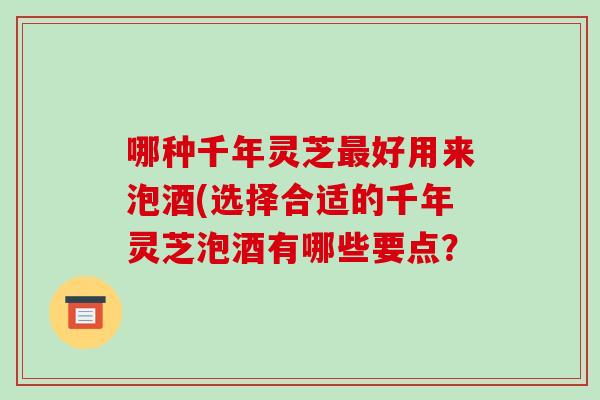 哪种千年灵芝最好用来泡酒(选择合适的千年灵芝泡酒有哪些要点?