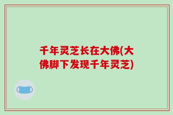 千年灵芝长在大佛(大佛脚下发现千年灵芝)