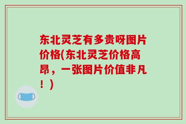 东北灵芝有多贵呀图片价格(东北灵芝价格高昂,一张图片价值非凡!)