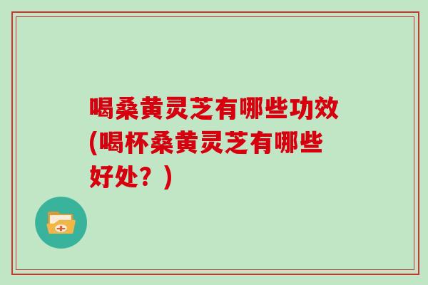 喝桑黄灵芝有哪些功效(喝杯桑黄灵芝有哪些好处?)