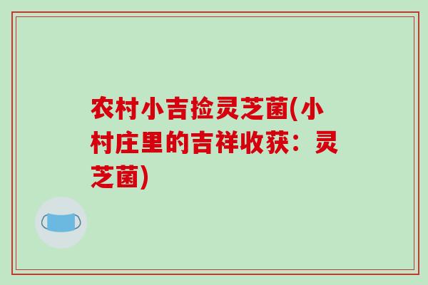 农村小吉捡灵芝菌(小村庄里的吉祥收获:灵芝菌)