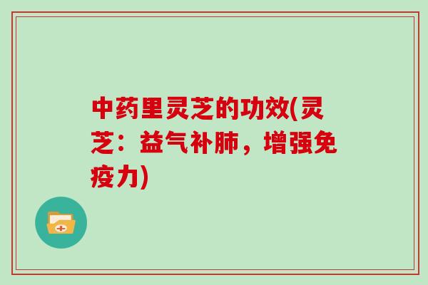 中药里灵芝的功效(灵芝:益气补肺,增强免疫力)