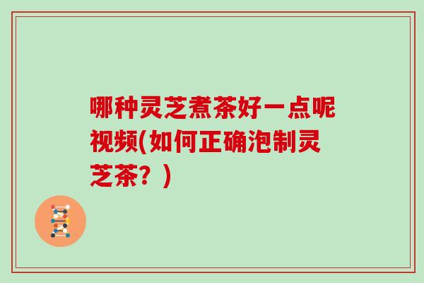 哪种灵芝煮茶好一点呢视频(如何正确泡制灵芝茶?)