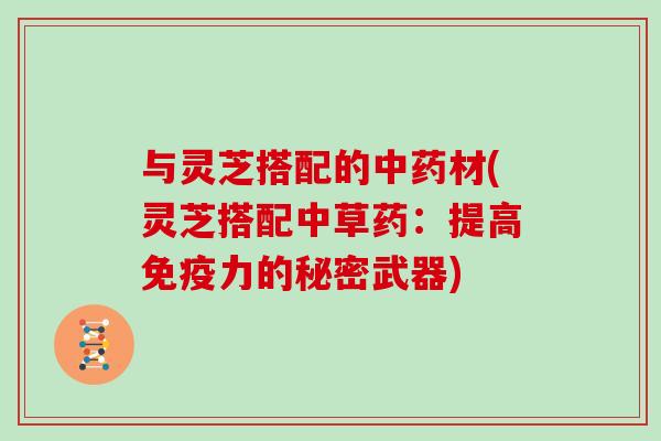 与灵芝搭配的中药材(灵芝搭配中草药:提高免疫力的秘密武器)