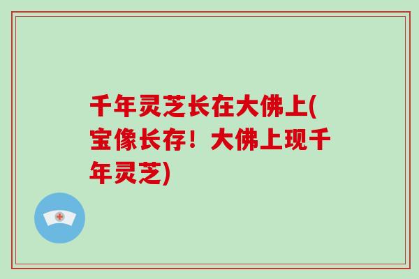 千年灵芝长在大佛上(宝像长存！大佛上现千年灵芝)
