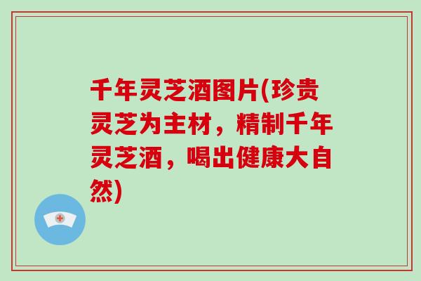 千年灵芝酒图片(珍贵灵芝为主材，精制千年灵芝酒，喝出健康大自然)