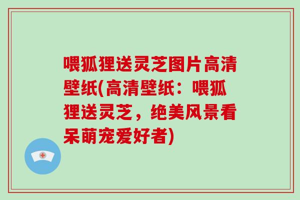 喂狐狸送灵芝图片高清壁纸(高清壁纸:喂狐狸送灵芝,绝美风景看呆萌宠爱好者)