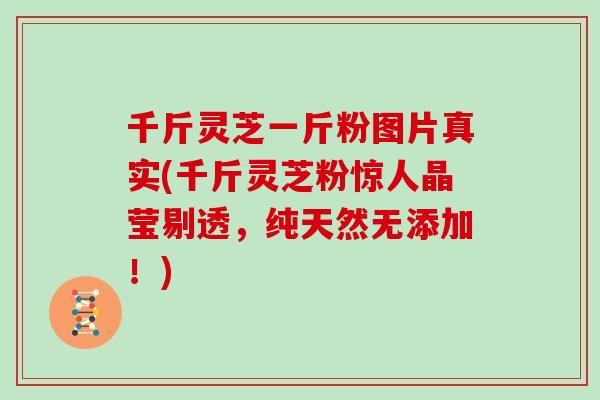 千斤灵芝一斤粉图片真实(千斤灵芝粉惊人晶莹剔透,纯天然无添加!)