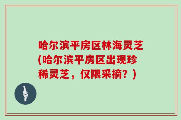 哈尔滨平房区林海灵芝(哈尔滨平房区出现珍稀灵芝，仅限采摘？)