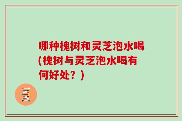 哪种槐树和灵芝泡水喝(槐树与灵芝泡水喝有何好处?)