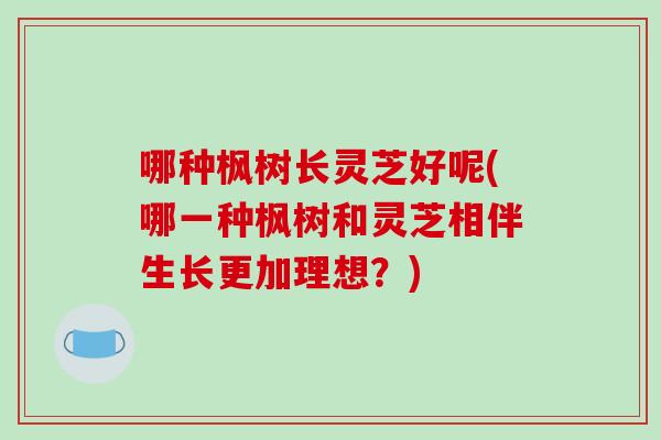 哪种枫树长灵芝好呢(哪一种枫树和灵芝相伴生长更加理想？)