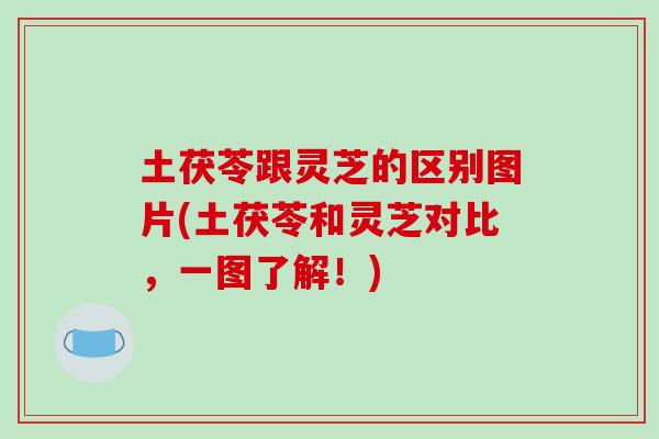 土茯苓跟灵芝的区别图片(土茯苓和灵芝对比,一图了解!)