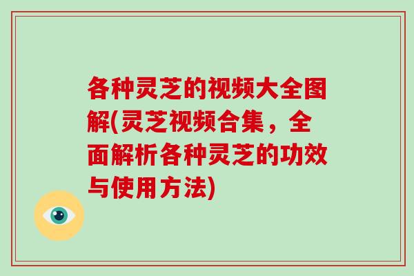 各种灵芝的视频大全图解(灵芝视频合集,全面解析各种灵芝的功效与使用方法)