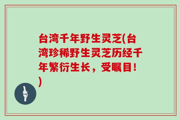 台湾千年野生灵芝(台湾珍稀野生灵芝历经千年繁衍生长,受瞩目!)