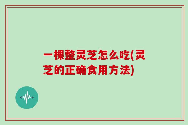 一棵整灵芝怎么吃(灵芝的正确食用方法)