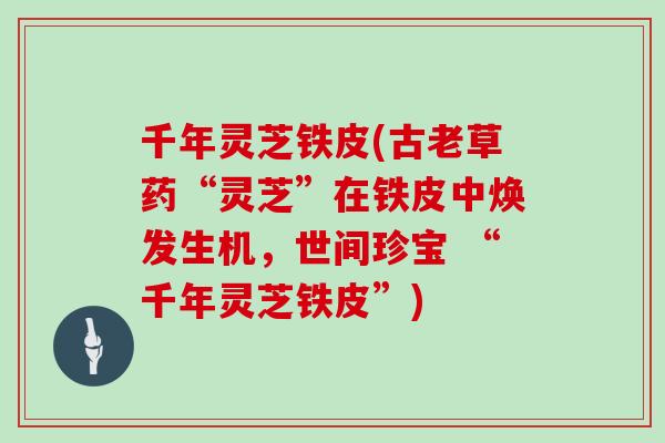 千年灵芝铁皮(古老草药“灵芝”在铁皮中焕发生机,世间珍宝 “千年灵芝铁皮”)