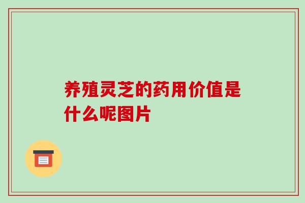 养殖灵芝的药用价值是什么呢图片