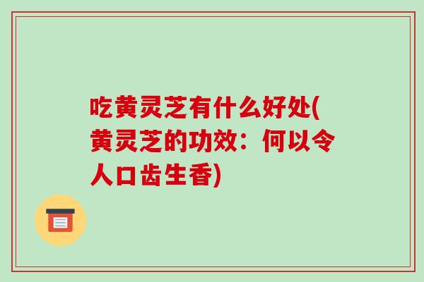 吃黄灵芝有什么好处(黄灵芝的功效:何以令人口齿生香)