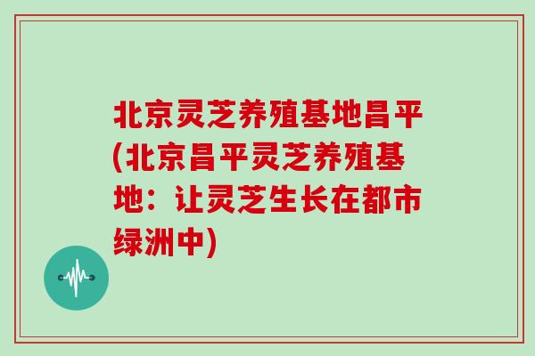 北京灵芝养殖基地昌平(北京昌平灵芝养殖基地:让灵芝生长在都市绿洲中)