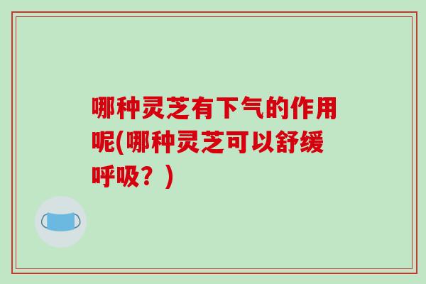哪种灵芝有下气的作用呢(哪种灵芝可以舒缓呼吸?)