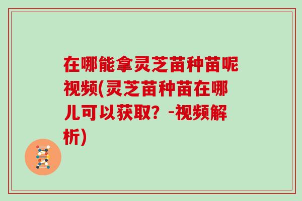 在哪能拿灵芝苗种苗呢视频(灵芝苗种苗在哪儿可以获取？-视频解析)