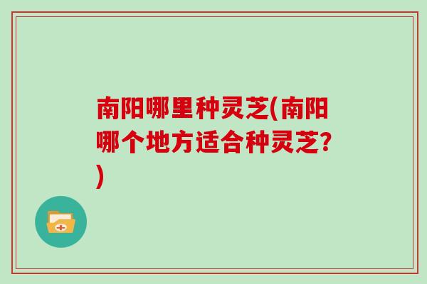 南阳哪里种灵芝(南阳哪个地方适合种灵芝？)