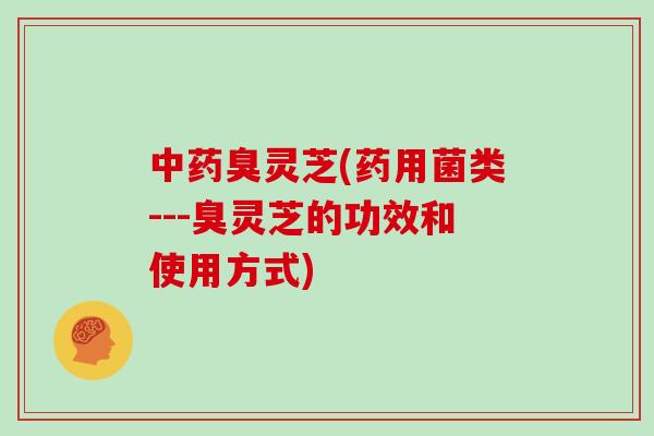 中药臭灵芝(药用菌类---臭灵芝的功效和使用方式)