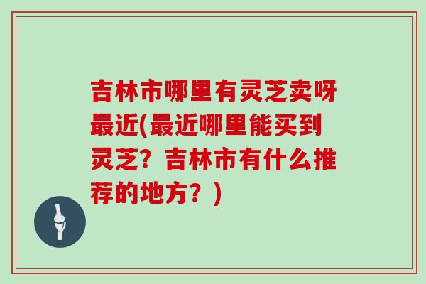 吉林市哪里有灵芝卖呀最近(最近哪里能买到灵芝?吉林市有什么推荐的地方?)