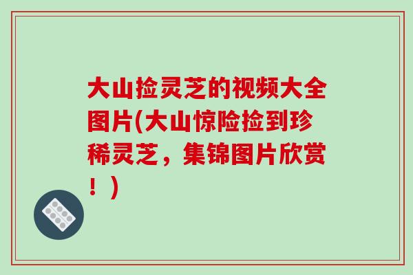 大山捡灵芝的视频大全图片(大山惊险捡到珍稀灵芝,集锦图片欣赏!)
