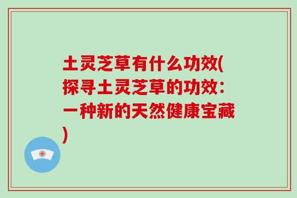 土灵芝草有什么功效(探寻土灵芝草的功效:一种新的天然健康宝藏)